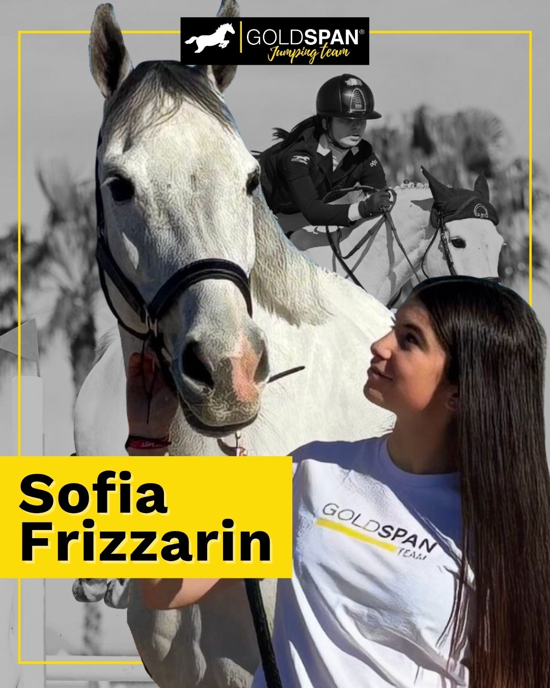 frizzarin-sofia-goldspan-jumping-team