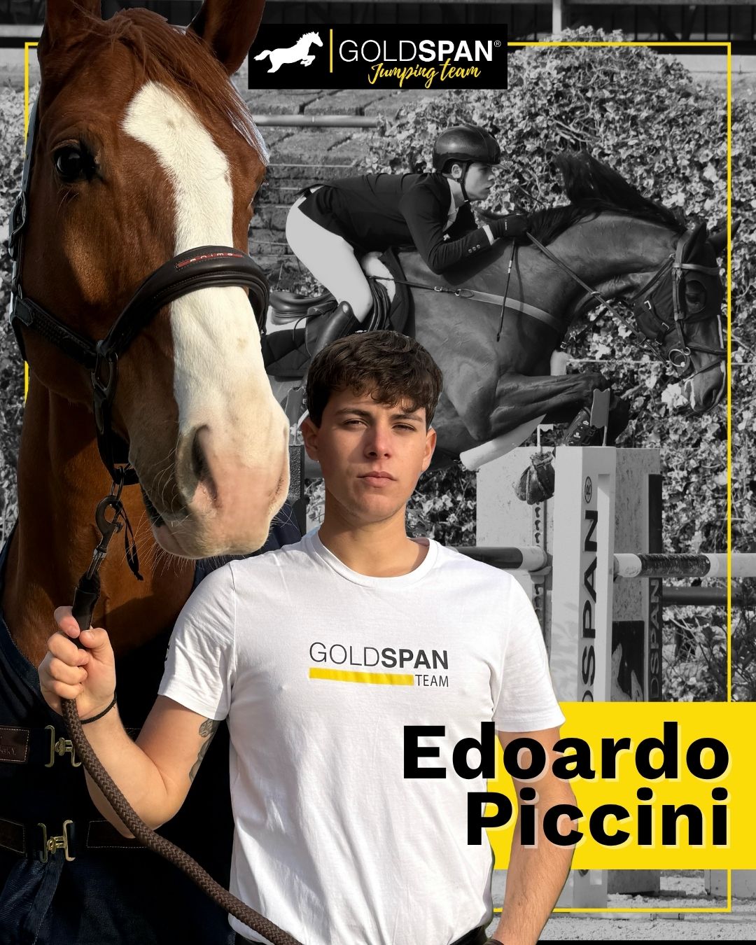 piccini-edoardo-goldspan-jumping-team